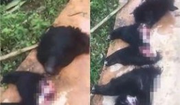 记者爆料云南事件视频,记者现场直击惊人一幕