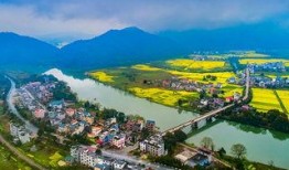 青水三月最新爆料,娱乐圈最新爆料大起底