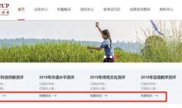 鹏程最新爆料消息,揭秘行业背后惊人内幕