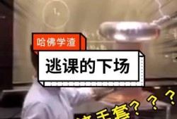 哈佛师傅爆料视频播放大全,视频播放大全背后的精彩瞬间