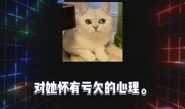 吃瓜娱乐圈八卦合集,揭秘明星幕后故事与热点八卦