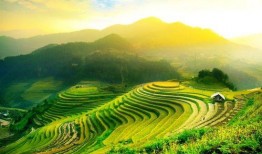 2023年6月网红吃瓜,盘点热门事件与幕后真相