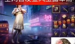 新军军需爆料视频,独家爆料视频深度解析