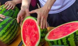 怎样能免费吃瓜最新,轻松解锁美食盛宴的秘密