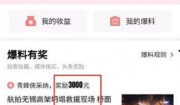 今日头条我要爆料规则,共建清朗网络空间——深度解读今日头条我要爆料规则