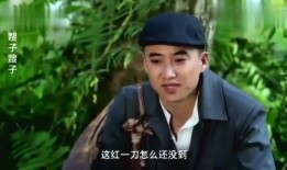 红一刀电视剧在线观看,传奇刀客的复仇之路