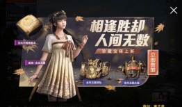 新军军需爆料视频,独家爆料视频深度解析