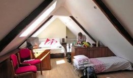 阁楼在线观看,在线观看之旅