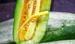 爱可可网红吃瓜图片大全,爱可可图片大全里的趣味时光