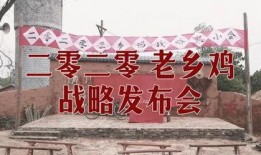 老乡鸡真实爆料视频下载,揭秘餐厅真实运营幕后