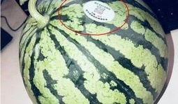 出事的网红吃瓜